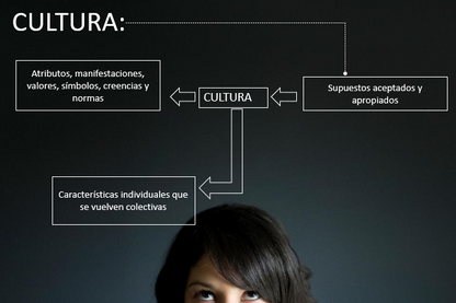 Instrumento de Cultura Innovadora